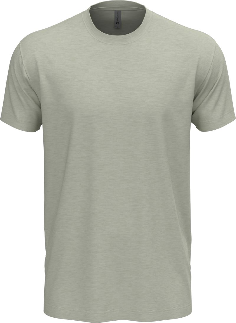 Next Level Apparel | N 6210