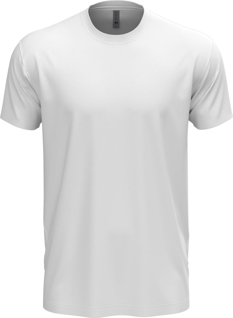 Next Level Apparel | N 6210