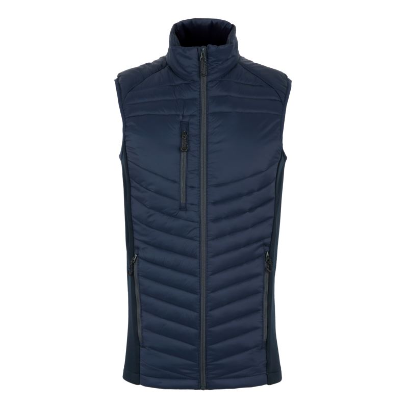 navy/seal grey