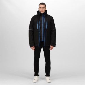 Regatta | TRA 156