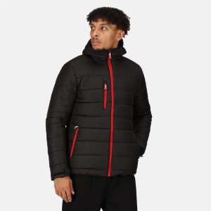 Regatta | TRA 241