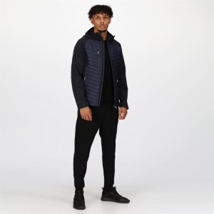 Regatta | TRA 549