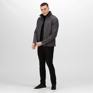 Regatta | TRA 654