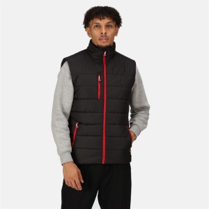 Regatta | TRA 892